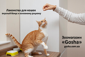 Лакомства для кошек