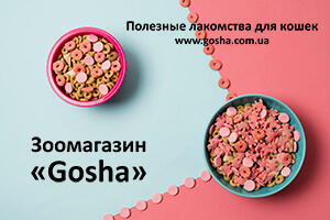 Полезные лакомства для кошек